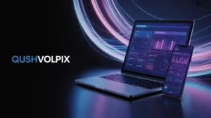 Discover Qushvolpix – The Ultimate Digital Experience Platform for Modern Users