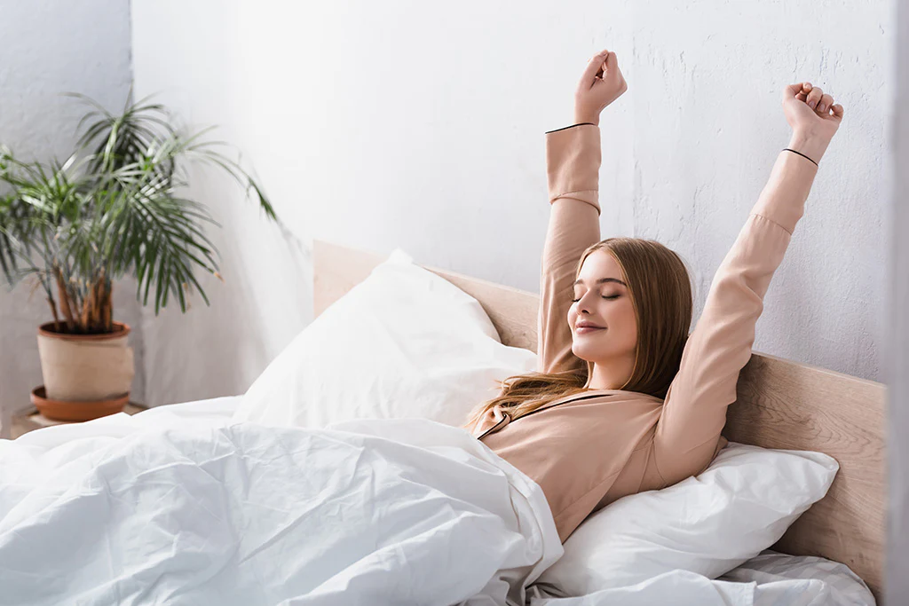 Mattress Sleep Trial