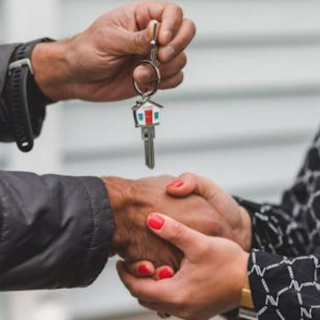 Where Is Wacozumi Sold – Complete Guide to Finding Wacozumi Products Easily