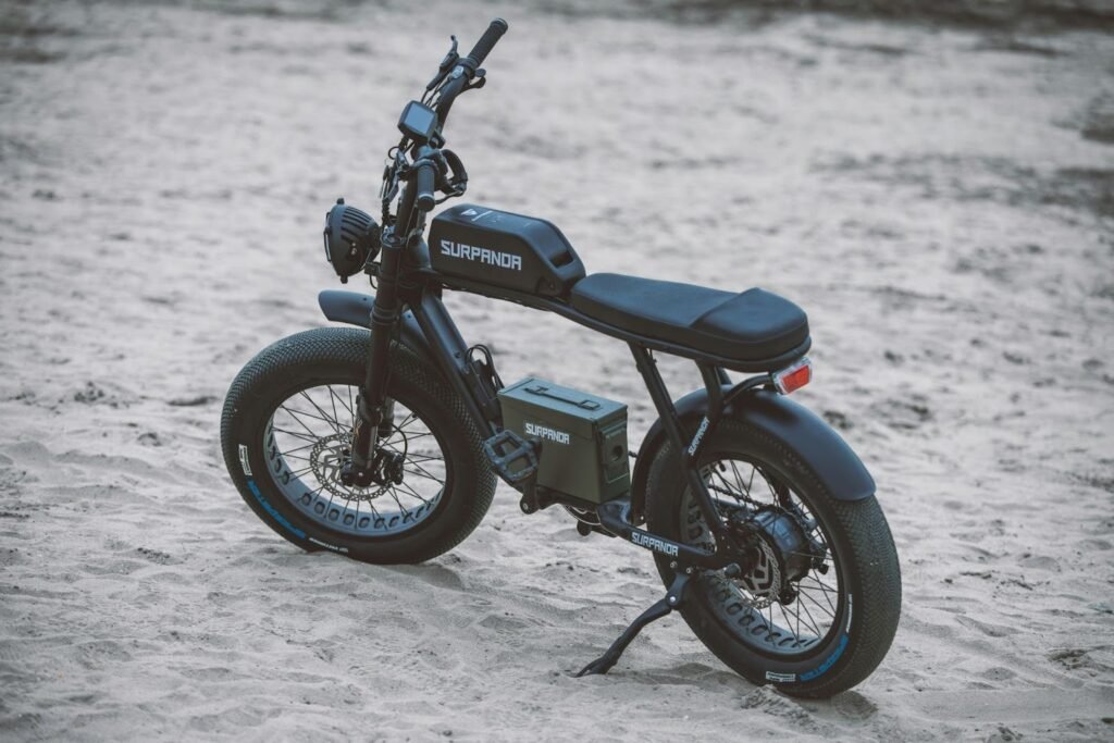1000W Fat Tire Electric Bike